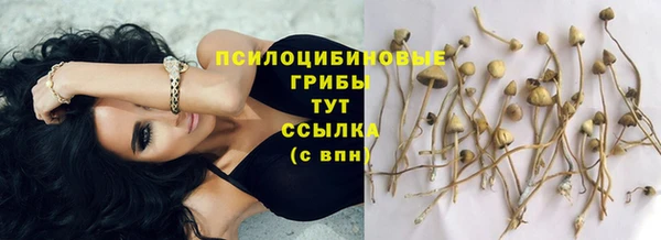 прущий лед Балахна